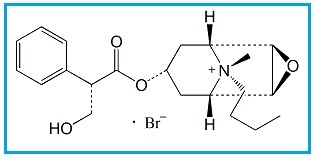 Hyoscine Butylbromide